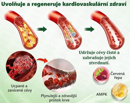💐Gratulujeme! 🎉 Dnes jste náš 500. zákazník a získáváte speciální nabídku: druhý produkt se slevou 50 %!