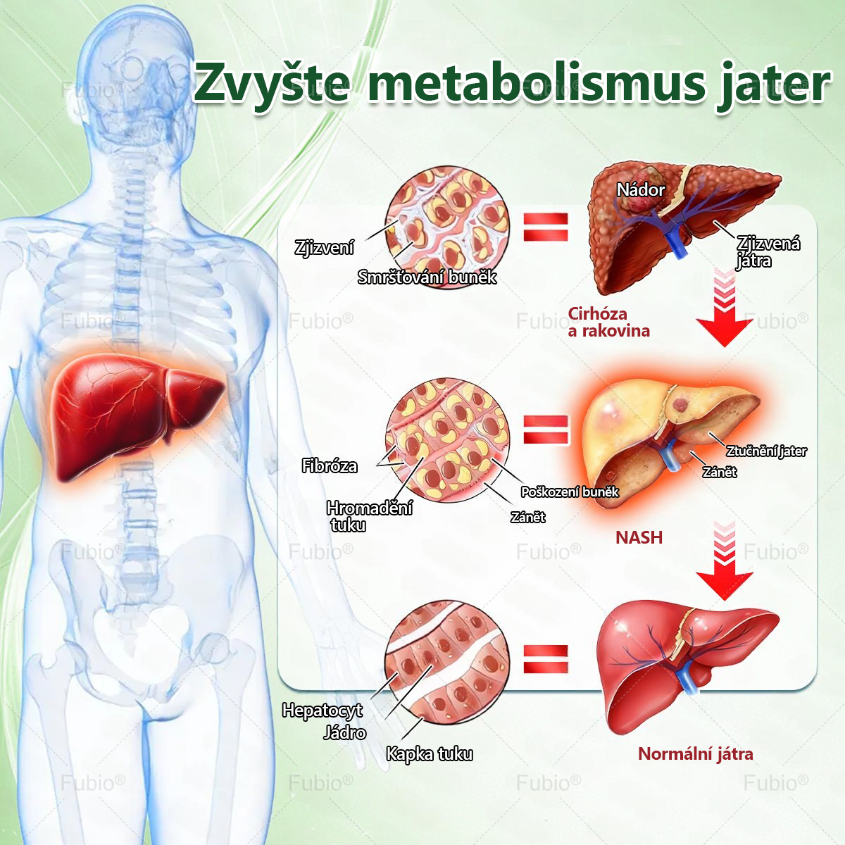 💐Gratulujeme! 🎉 Dnes jste náš 500. zákazník a získáváte speciální nabídku: druhý produkt se slevou 50 %!